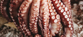 Congelados Troulo entra en concurso tras su fuerte caída de 2020