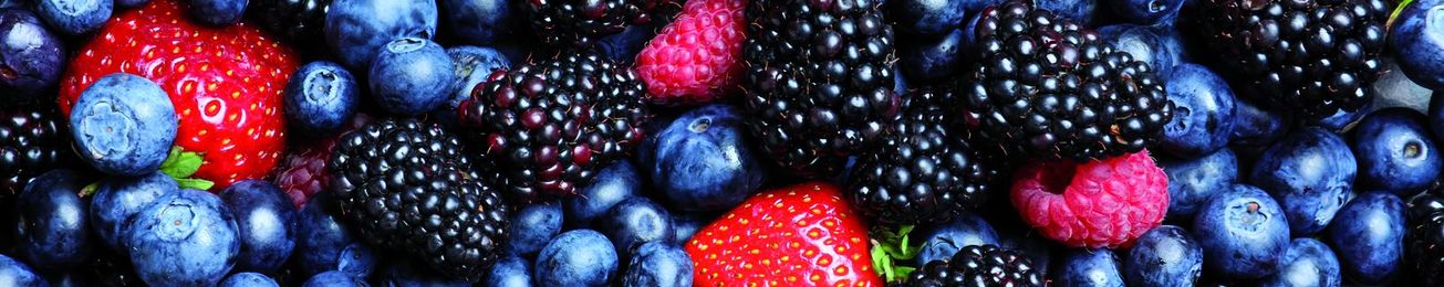 Informe 2022 del sector de frutos rojos