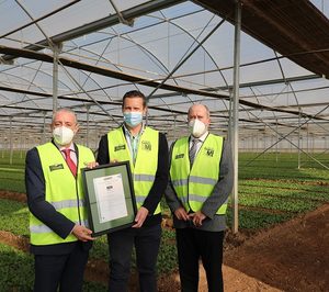 Florette obtiene el certificado de Producción de Cultivo Sostenible de AENOR