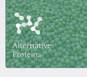 Unovis Asset Management triplica su apuesta en proteínas alternativas con un nuevo fondo de 146 M