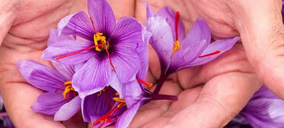 Triselecta prosigue su expansión y crece en todos los frentes