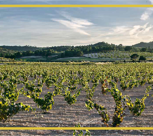 Bodegas García Pérez invierte 4 M€ para seguir creciendo en vinos de calidad embotellados