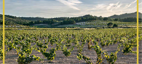 Bodegas García Pérez invierte 4 M€ para seguir creciendo en vinos de calidad embotellados