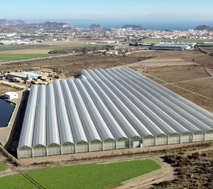 Looije avanza en su gran proyecto de Águilas y se instala en el doble dígito