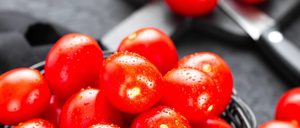 Calidad, productividad y, sobre todo, sabor guían al sector del tomate