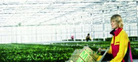 DHL Supply Chain gana posiciones en el sector hortofrutícola y en ecommerce