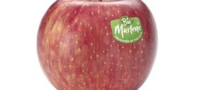 VOG introduce sus manzanas biológicas en Emiratos Árabes Unidos