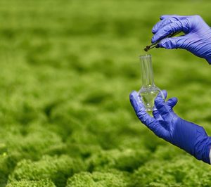 La alta demanda de aceites esenciales bío impulsa las ventas de IBSINA