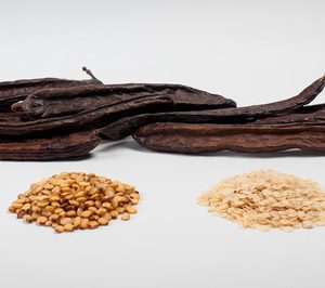 Carob iniciará este año un plan de modernización de sus instalaciones