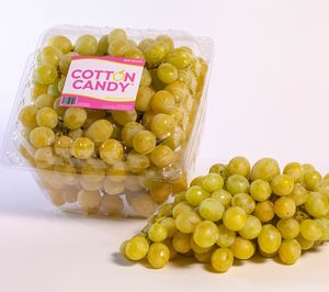 AM Fresh compra la californiana IFG y la fusionará con su filial Special New Fruit Licensing