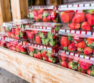 Anaip incorpora un servicio jurídico para sus asociados