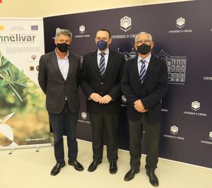 El proyecto Innolivar concluye con una inversión de 13 M y logros en mecanización, industria y sostenibilidad