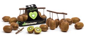 Feito y Toyosa avanza con ‘Kiwiastur’ y apuesta por la sostenibilidad y la digitalización