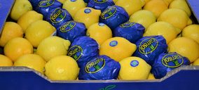 Agrios El Carril invierte, diversifica y bate récord de facturación