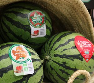 Anecoop afronta la campaña de sandía con expectativas de crecimiento