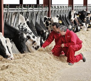 Nanta supera los 1.000 M y presenta nuevas fórmulas para ganadería de leche