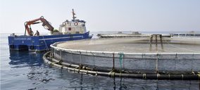 Una empresa de acuicultura de Alicante solicita concurso de acreedores