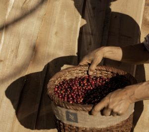 Nespresso logra la certificación B-Corp