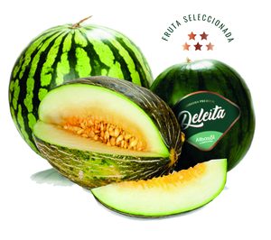 Albasol Fruit ultima su proyecto para debutar en el sector de melón y sandía