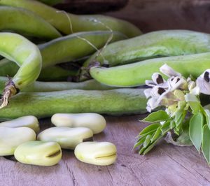 Beneo invertirá 50 M para producir ingredientes proteicos vegetales