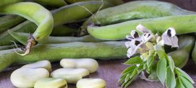 Beneo invertirá 50 M para producir ingredientes proteicos vegetales