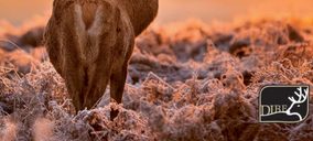 Cárnicas Dibe completa inversiones y vuelve a crecimiento