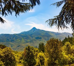 Nestlé invierte 1 M en Viladrau para un nuevo sistema de refrigeración sostenible
