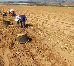 GV el Zamorano apuesta por el ahorro energético y el agritech en sus cultivos