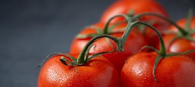 Pimar Fresh levantará nueva planta para duplicar su facturación