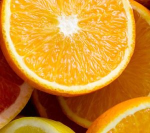 Citri&Co suma 130.000 t de cítricos con la compra del negocio de fruta fresca de San Miguel