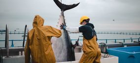 Balfegó logra la trazabilidad total del atún rojo, desde la captura hasta el consumo