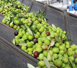 El proyecto de foodtech Phenoils entra en fase de pruebas a nivel industrial