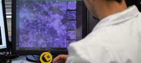 Los insectos, nueva vía para reciclar multicapas