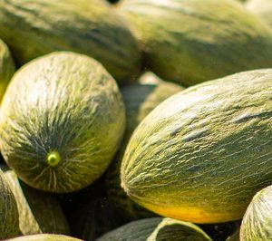 The Natural Fruit Company compra Bruñó y sella su entrada en melón