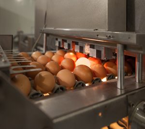 Ralentización de las inversiones y mayor concentración, claves en el actual escenario en el mercado de huevos