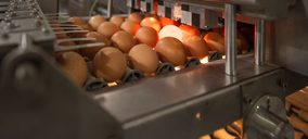 Ralentización de las inversiones y mayor concentración, claves en el actual escenario en el mercado de huevos