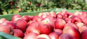 VOG presenta su nueva visión empresarial: “Home of Apples”