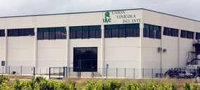 Uveste prevé que el negocio de vino desalcoholizado se triplique en los próximos años