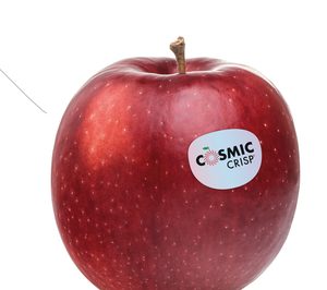 VOG prevé un aumento de las últimas innovaciones y las manzanas Bío