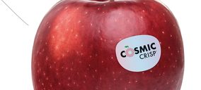 VOG prevé un aumento de las últimas innovaciones y las manzanas Bío