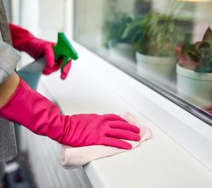 Limpiadores del hogar: ¿cómo está evolucionando el mercado?