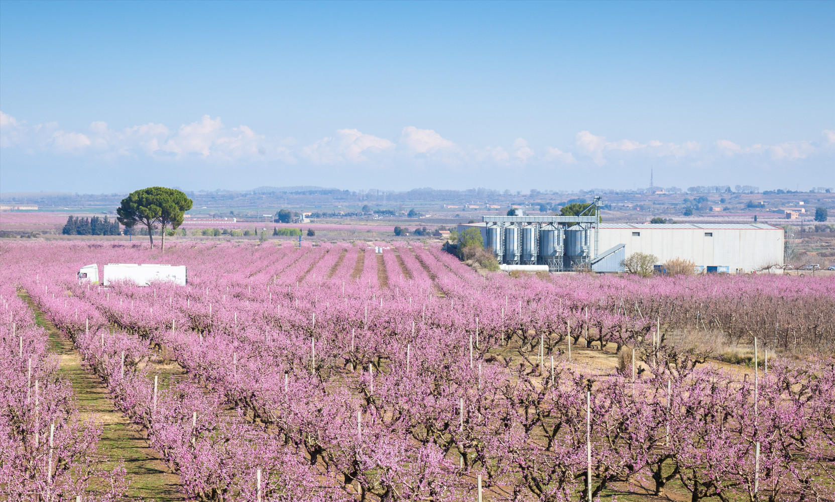 Grau Nuts traza un plan para su expansión en nuevos canales, productos y sostenibilidad