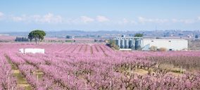 Grau Nuts traza un plan para su expansión en nuevos canales, productos y sostenibilidad