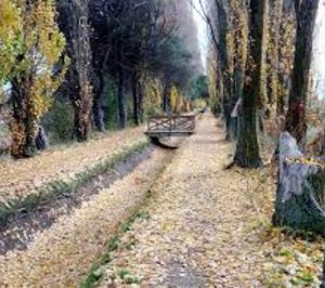 Adjudicado el SAD de un municipio vallisoletano