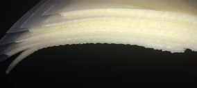 Ródenas y Rivera, nuevas inversiones en un año en el que espera un fuerte crecimiento