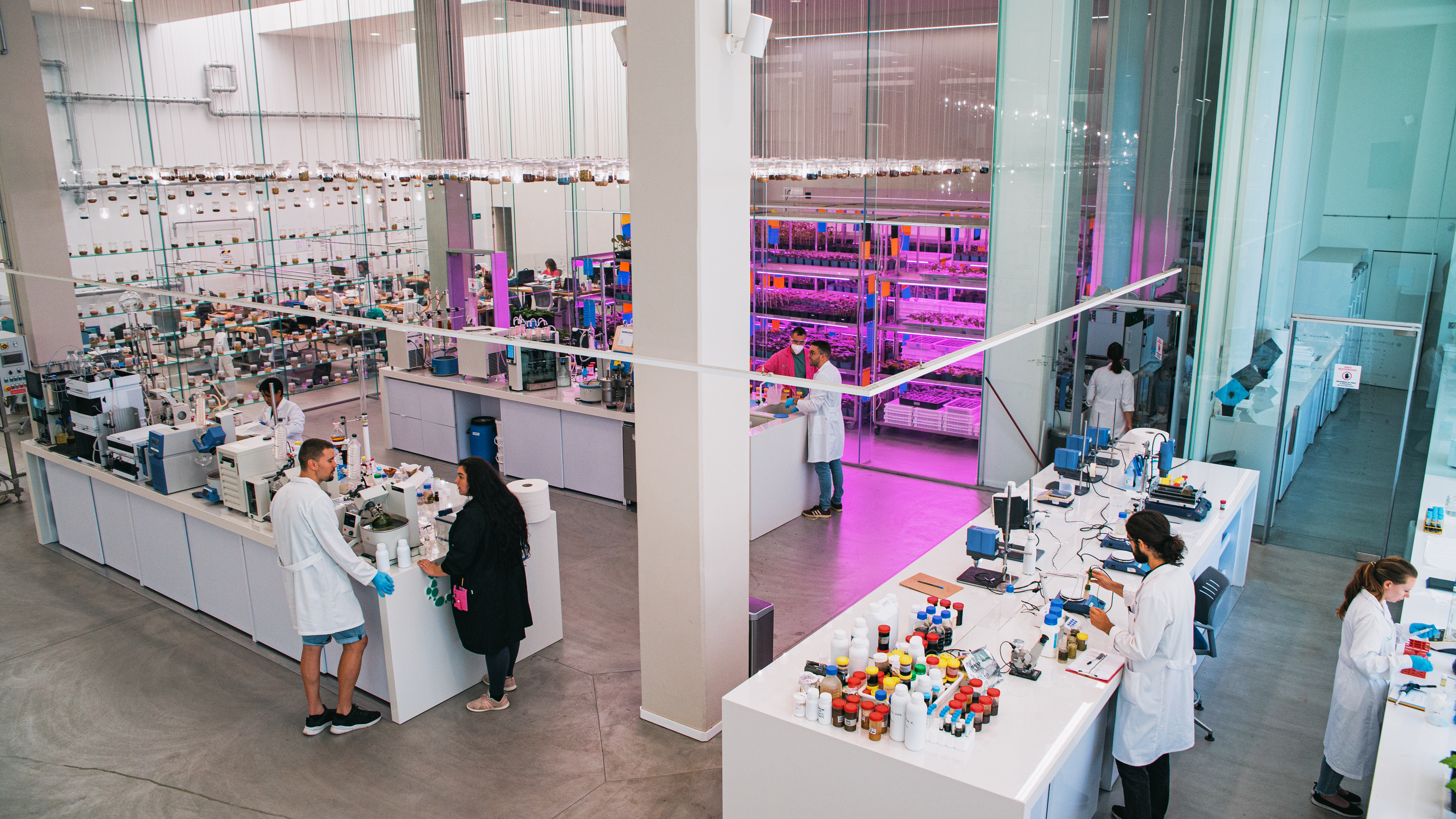 Banco Santander adquiere el 5% de Kimitec y entra en el sector de la biotecnología