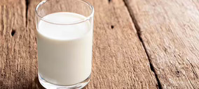 Nestlé y Fonterra toman posiciones en fermentación de precisión en busca de proteínas lácteas sin vacas