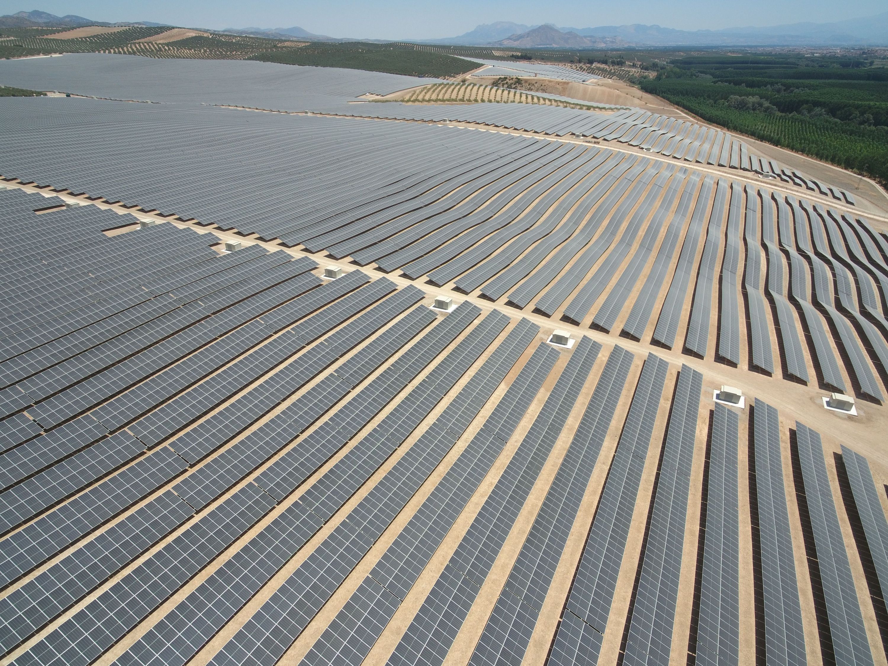 AB InBev inaugura el parque solar español que abastecerá 14 de sus plantas en Europa