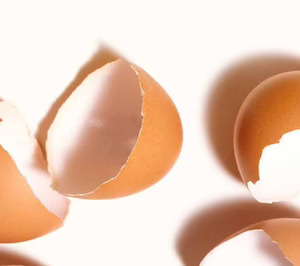 Pascual lanza el ovo-ingrediente funcional MKare bajo un modelo B2B