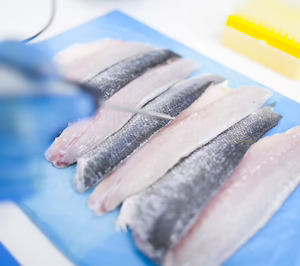 Scanfisk revolucionará la pescadería con la tecnología Ultrafish